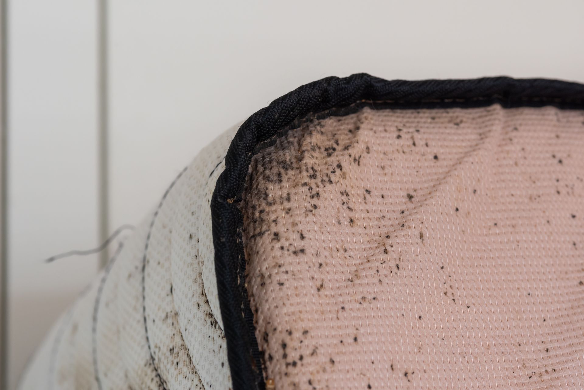 Close-up of a mattress corner with visible bed bug infestation, showing dark specks and debris along seams.