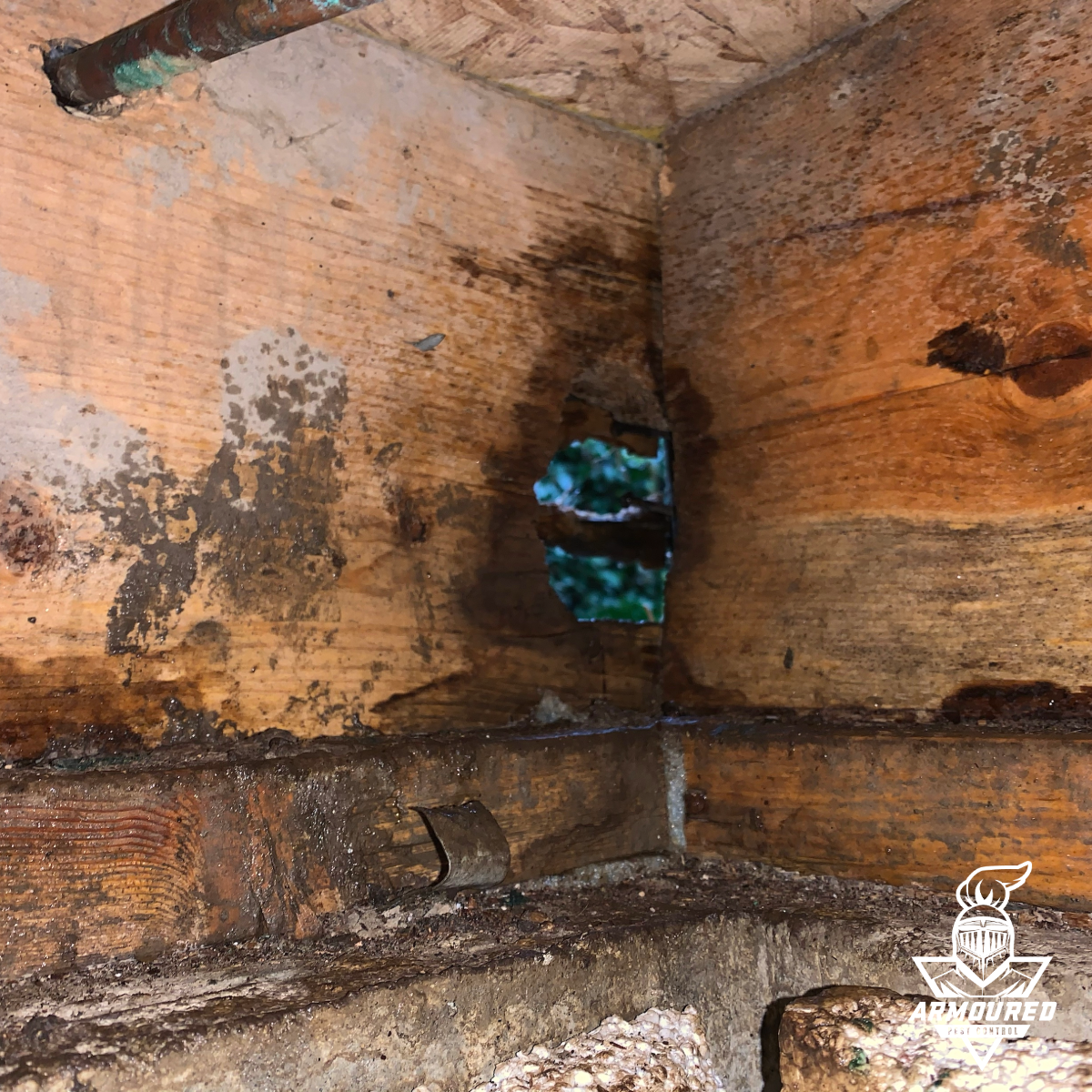 A hole in a wooden wall with a blue light coming out of it.