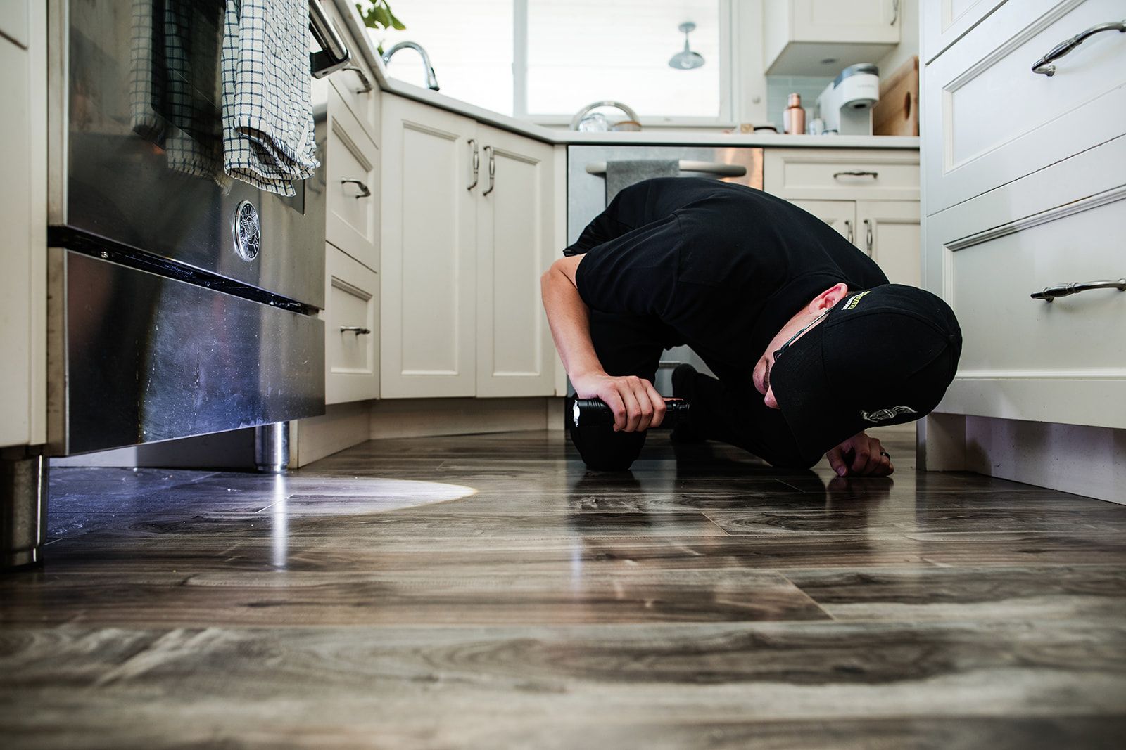 The Importance of Regular Rodent Inspections