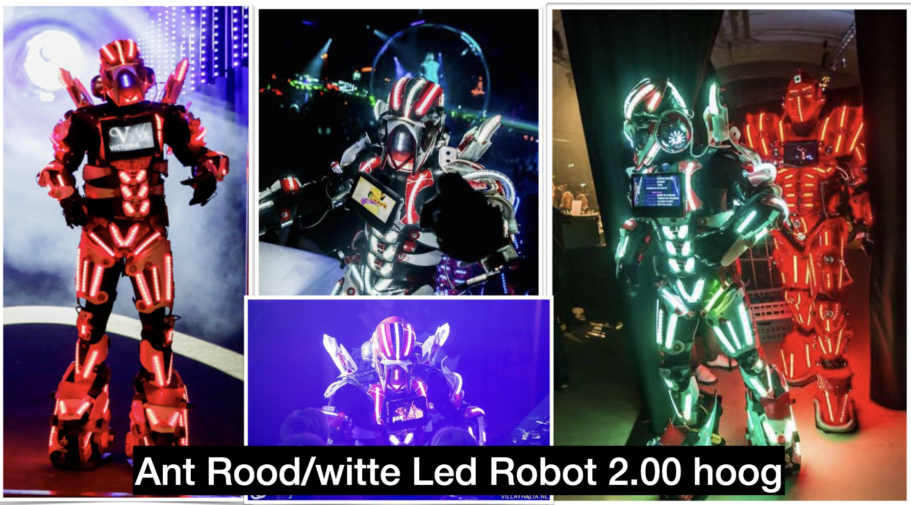 Ant LED Robot