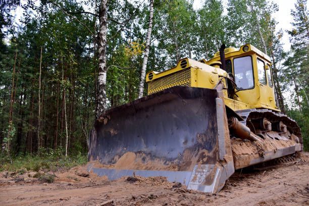 Excavation Services — Sun Bright, TN — Noah’s Earth LLC