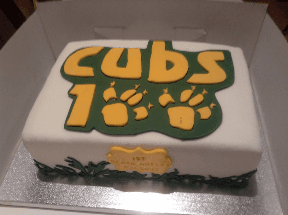 100 cubs cake
