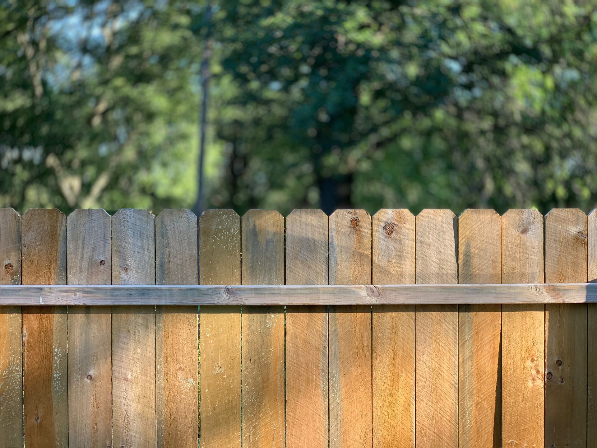 Wood Fence