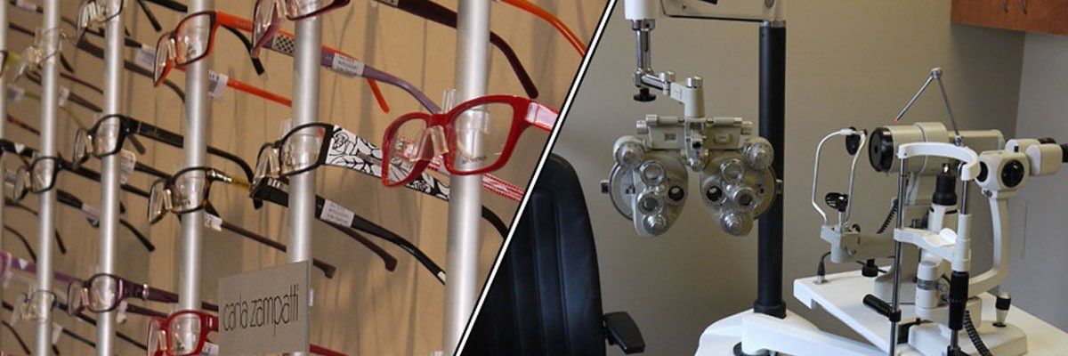 optorica optometrist professional optical care