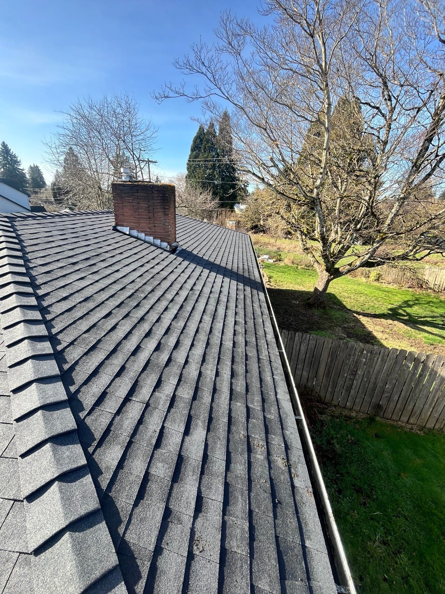 Asphalt shingle roof with a brick chimney, trees, and a wooden fence on a sunny day.