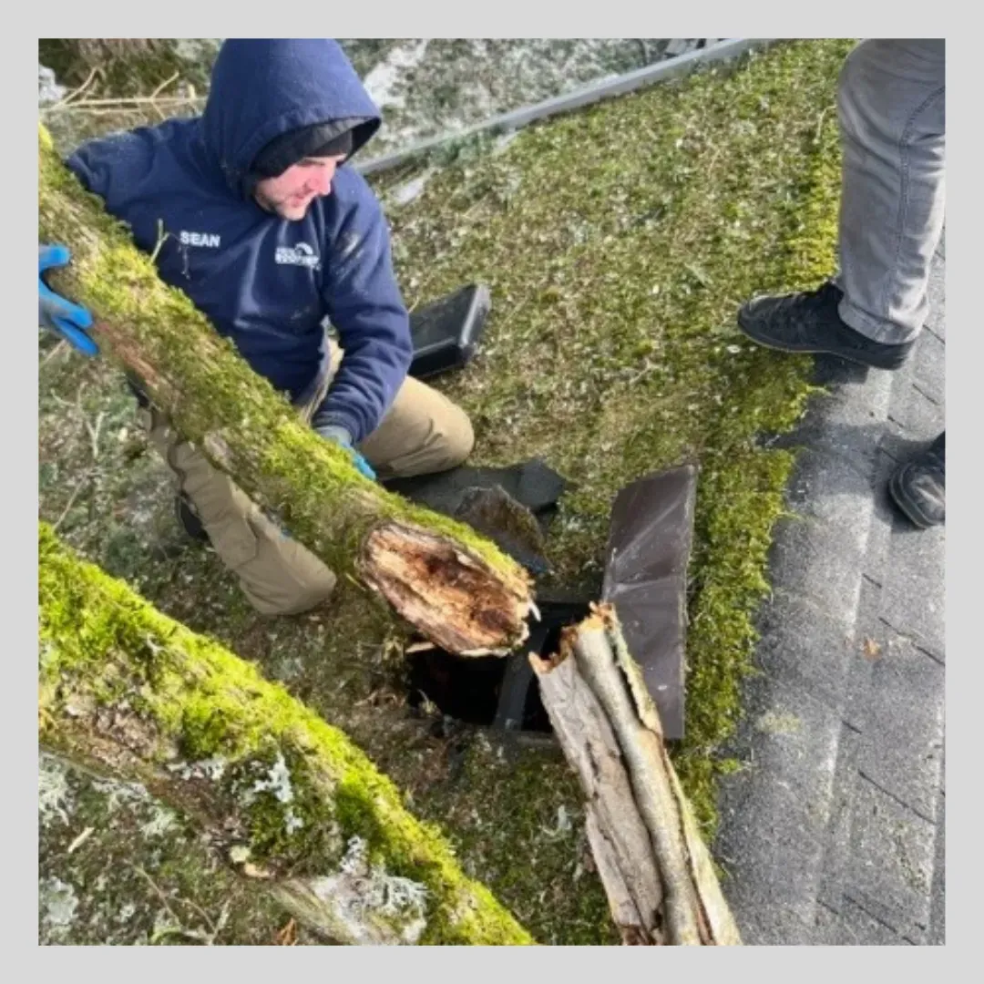 Person removing tree branch from a rooftop gutter.