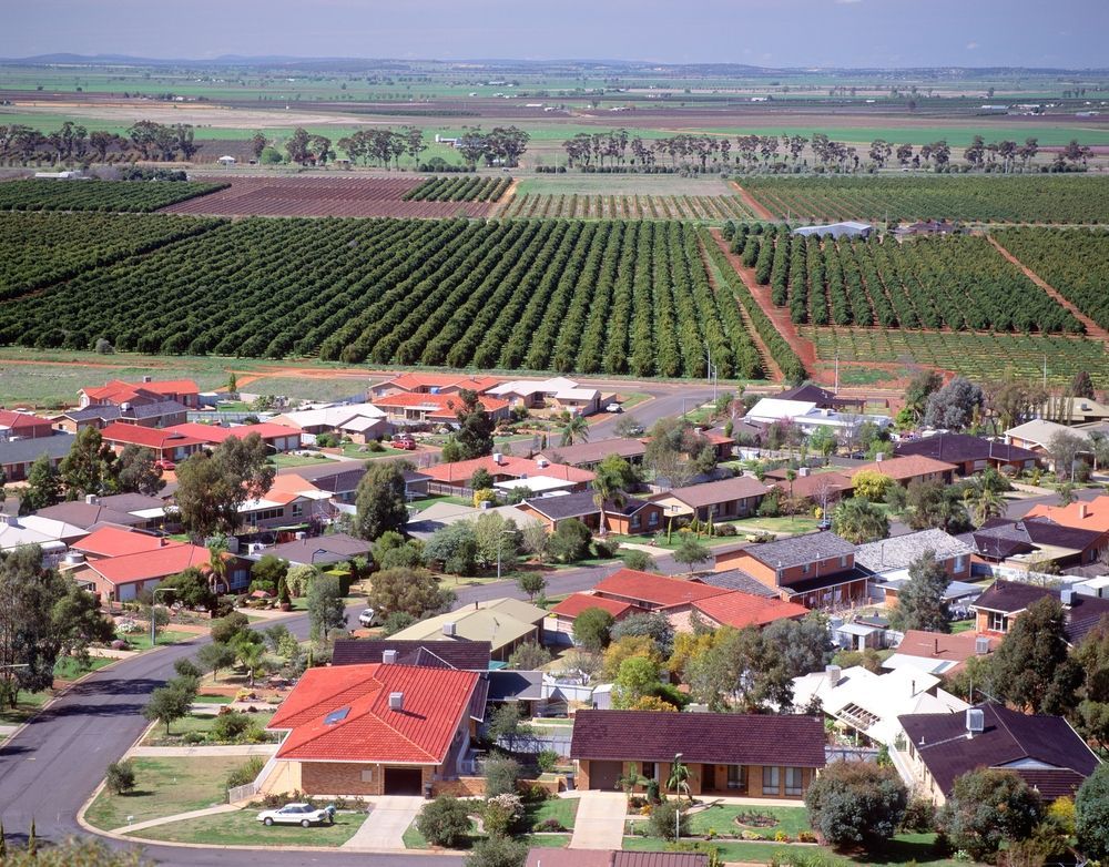 Fruit Orchard Near the Town — Brod’s Refrigeration & Air Conditioning in Terramungamine, NSW