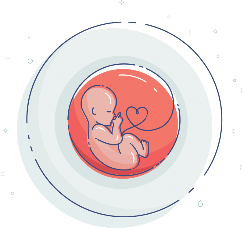 Umbilical Cord Tissue Graphic — Frankfort, IL — Chicago Stem Cell Therapy