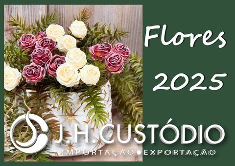 Flores 2025