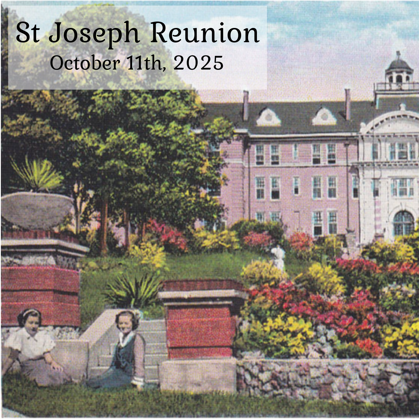 A close up of a chicken with the words animal ambassadors above it