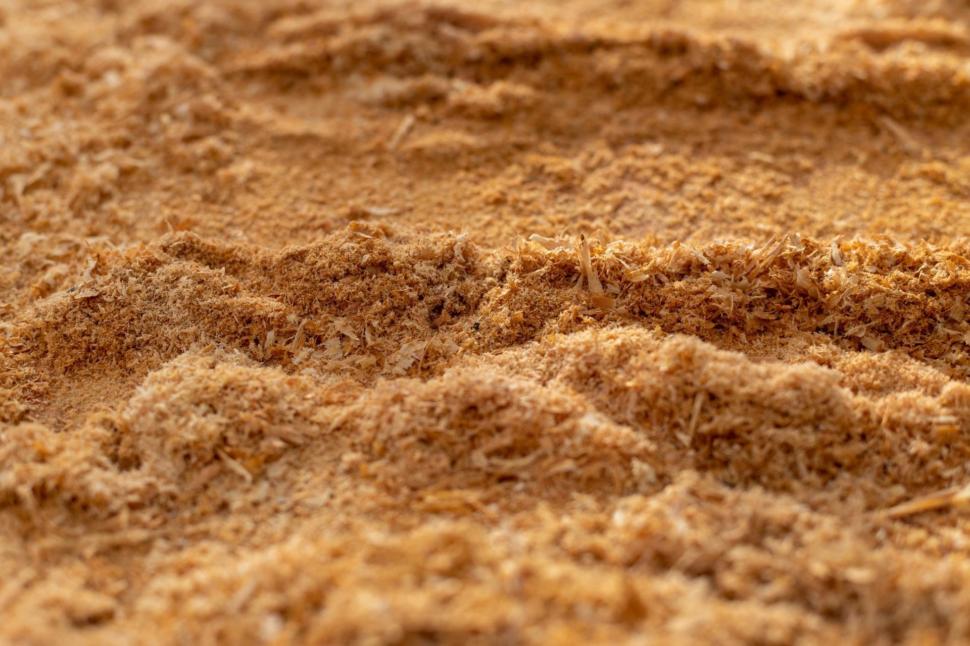 A close up of a pile of sand on a beach.