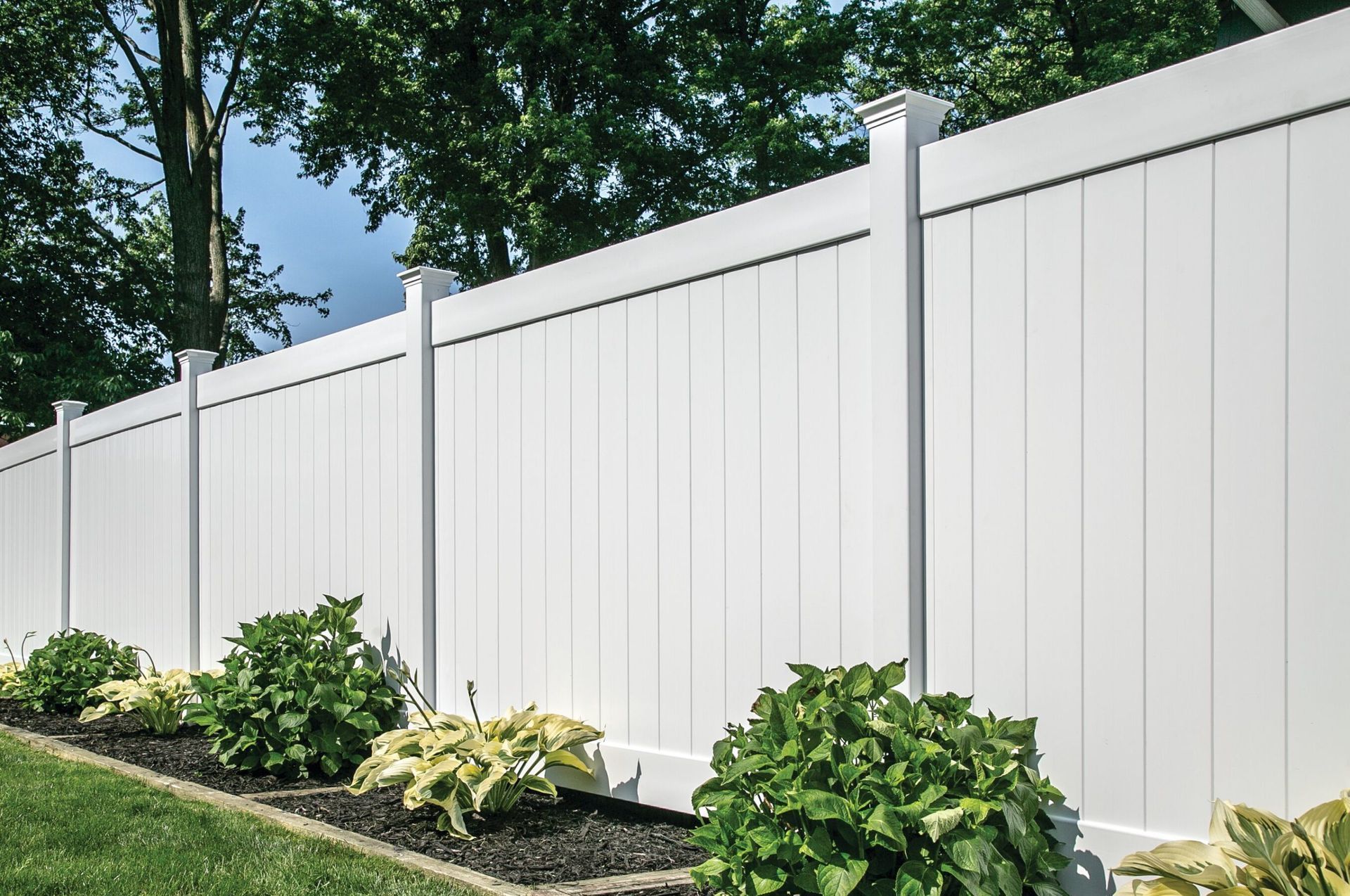 A white fence is surrounded by plants and trees