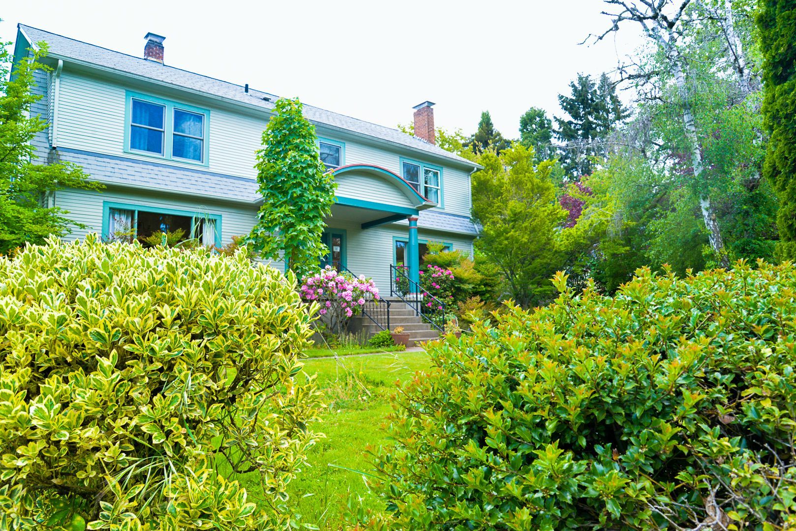 A large white house with a blue roof is surrounded by bushes and trees.