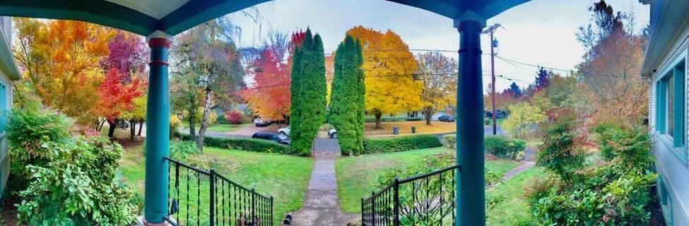 A view of a park from a porch with trees in the background.