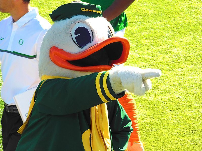 A duck mascot is pointing at something in the grass