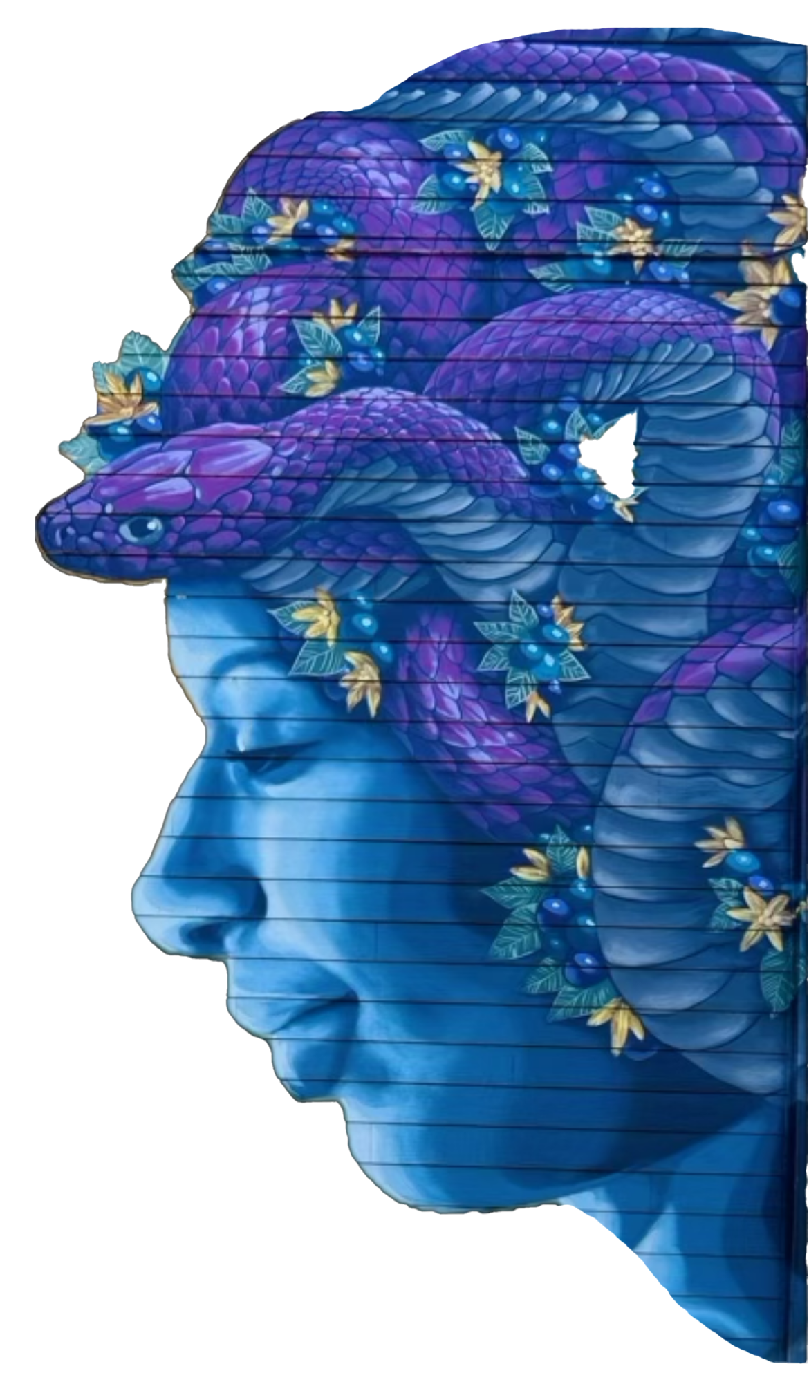 A drawing of a woman with a snake on her head.