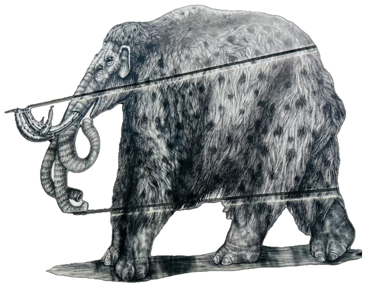 A drawing of an elephant with a snake in its mouth