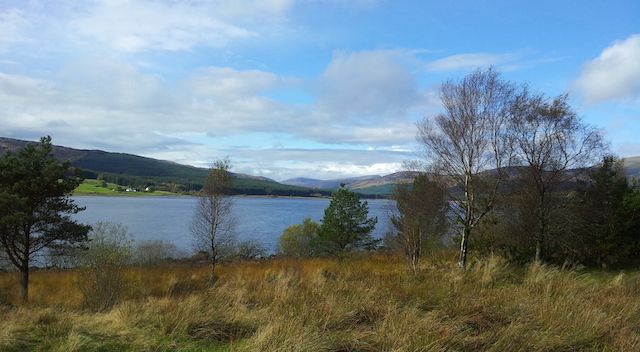 A loch with blue sky and a grassy foreground