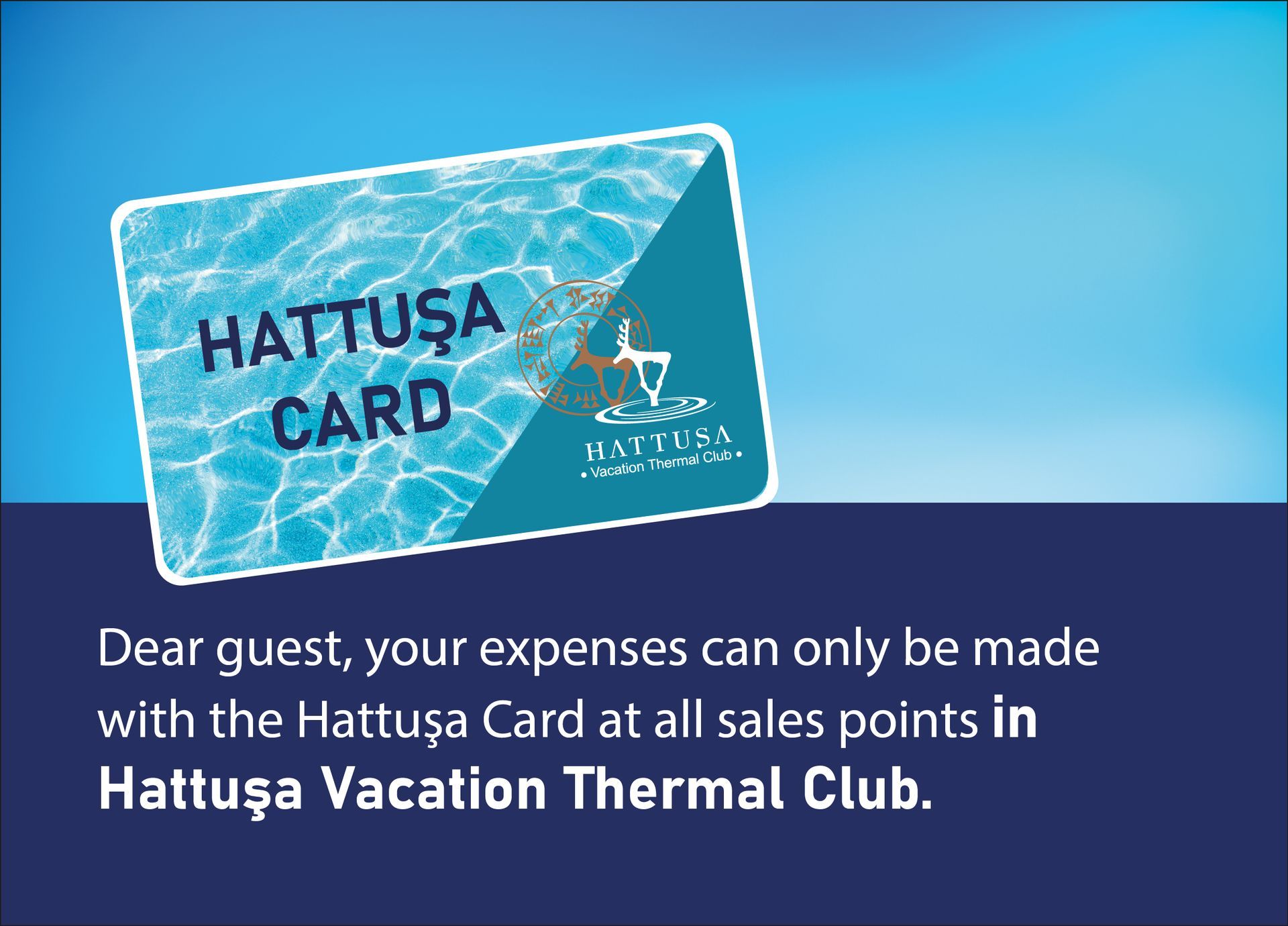 A picture of a hattusa card on a blue background