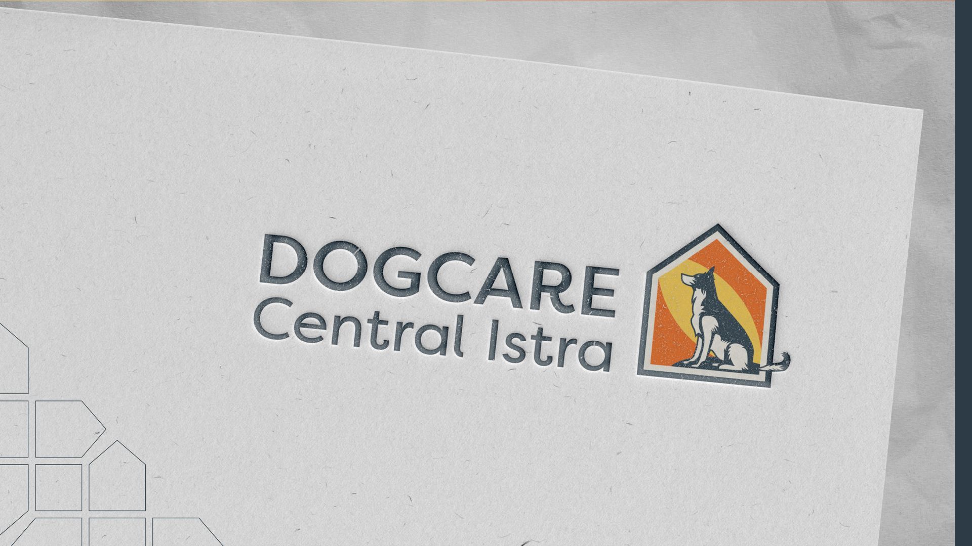 branding, digital en printdesign hondenopvang