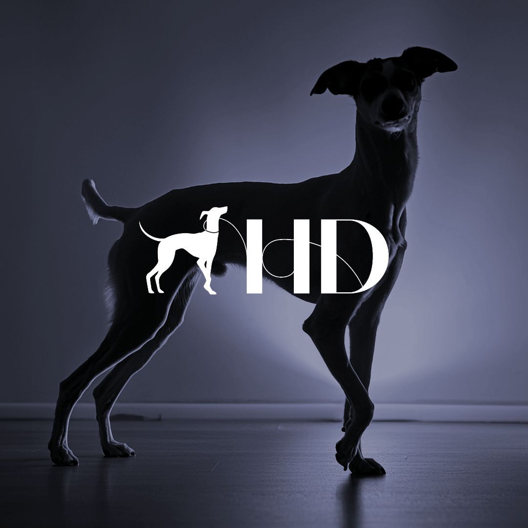 ontwerp logo en branding