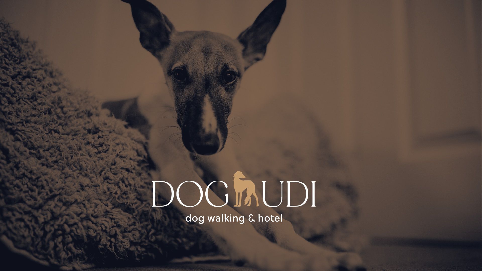 logo, branding hondenhotel