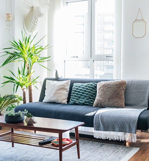 Living Room Sofa | North Chesterfield, VA | Sofa Design