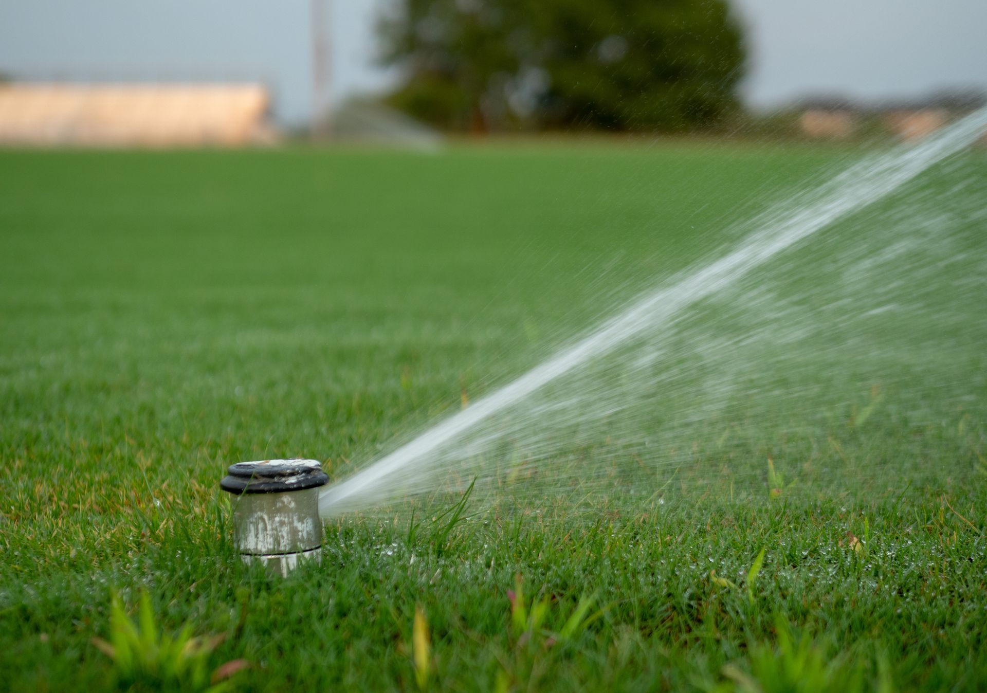 An in-ground sprinkler system blasting water on a field, installed by a contractor.