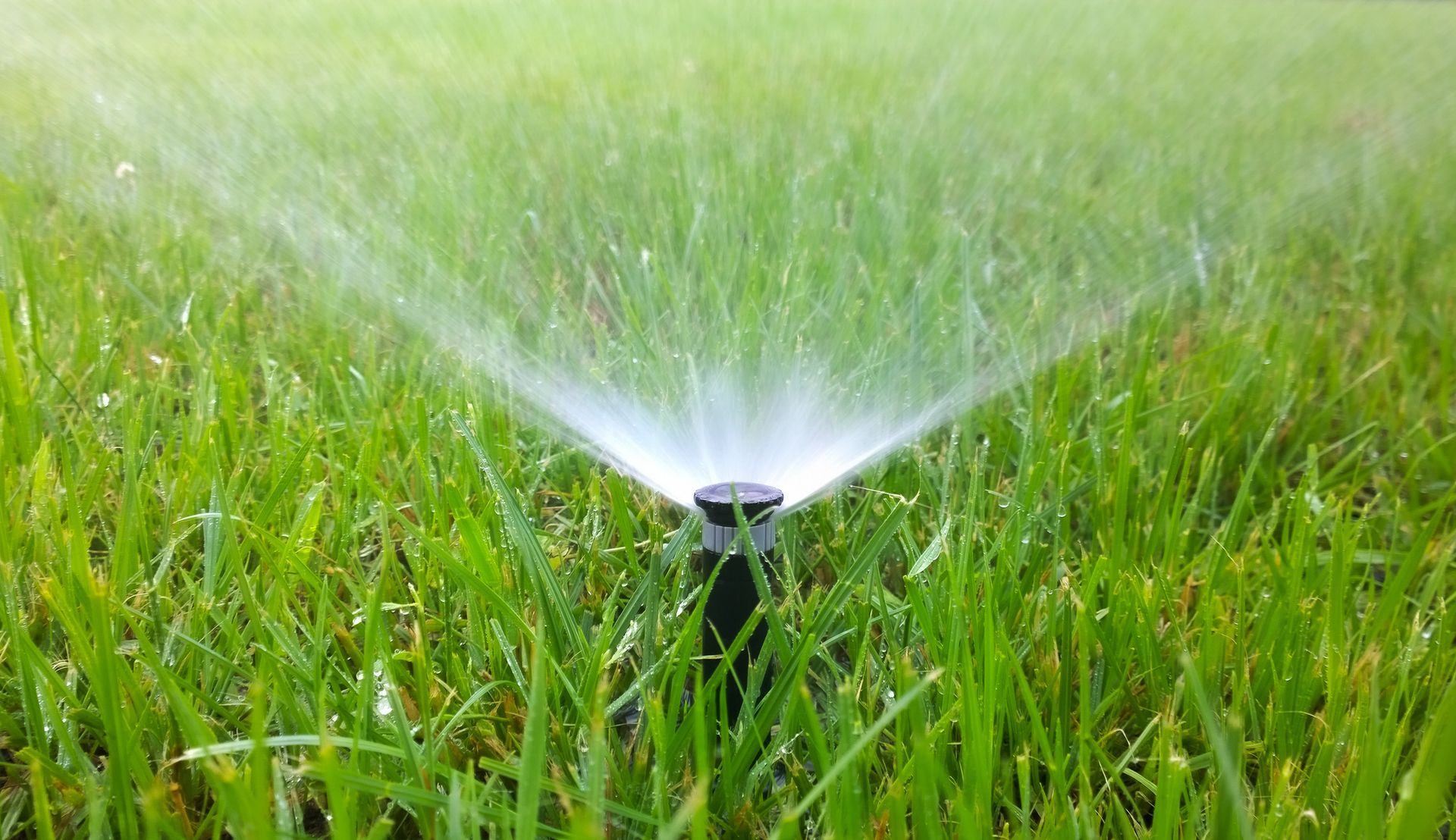 Sprinkler head spraying water in a fan shape across a green lawn during operation.