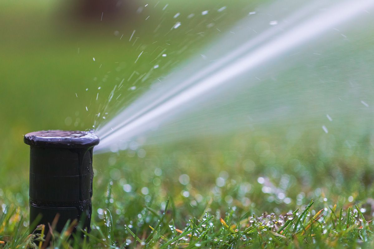 Installed Sprinkler in Garden — Spring Hill, FL — All-Tech Well Drilling & Pump Repair