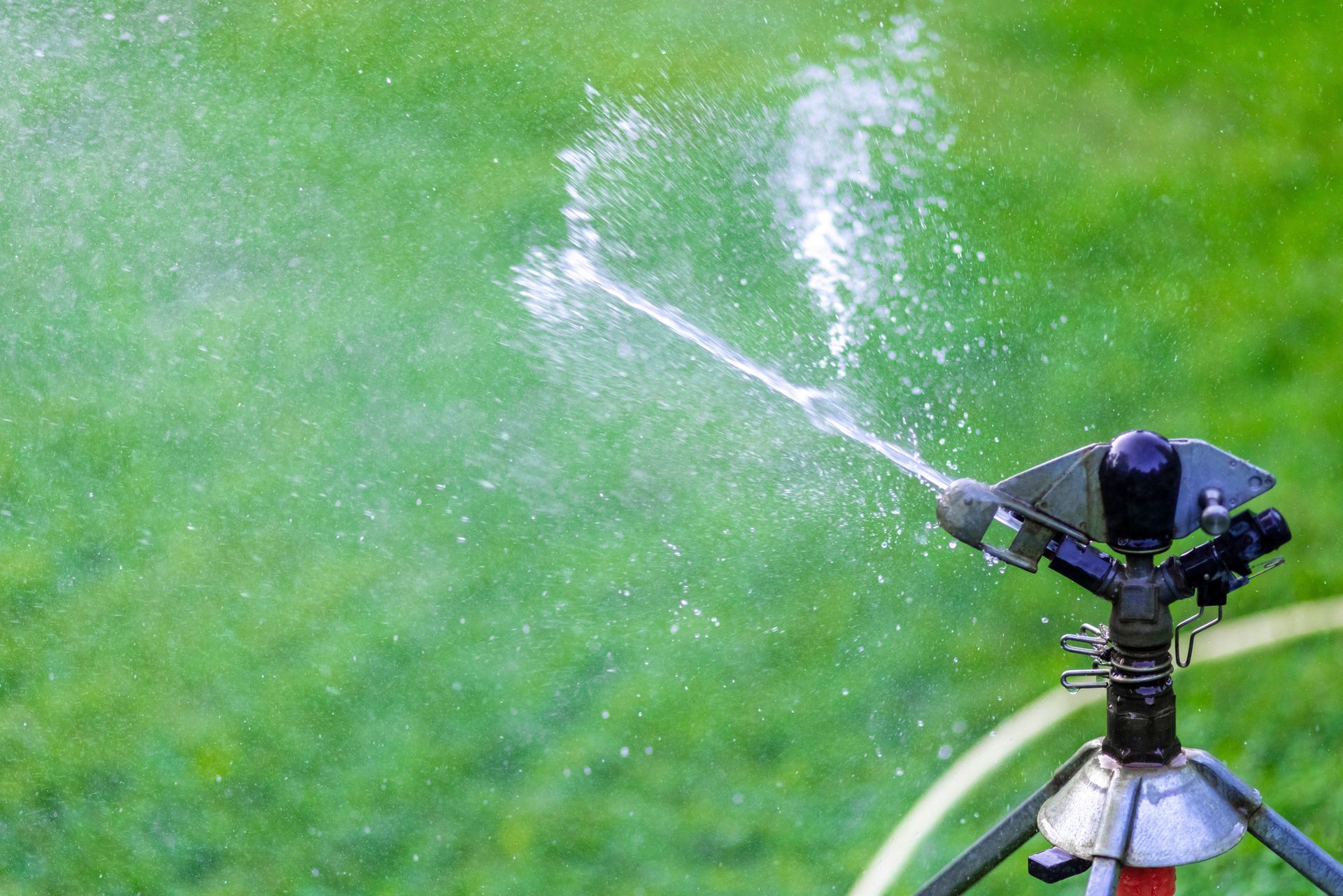 A close-up of a sprinkler head releasing a fine mist over a lush lawn