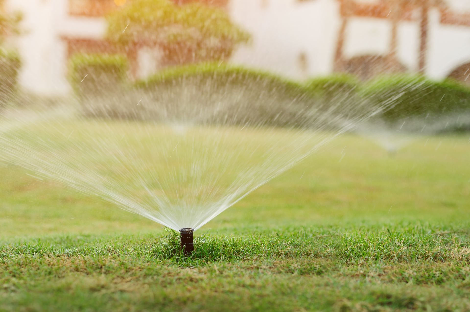 Automatic garden lawn sprinkler in action watering grass.