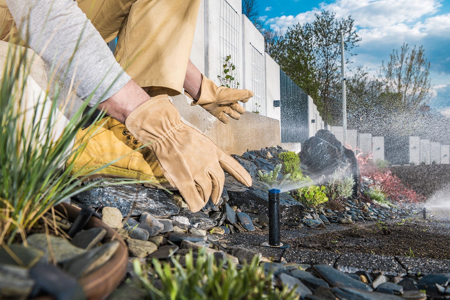 A professional gardener is checking the lawn sprinkler.
