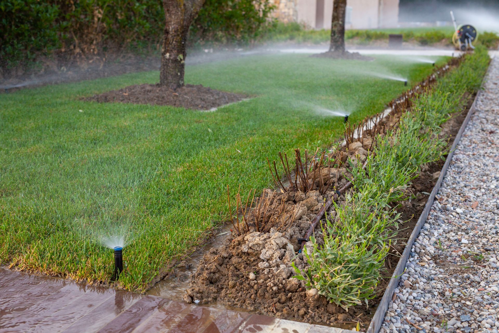 Sprinkler heads sprinkle water on the grass and trees in a garden.