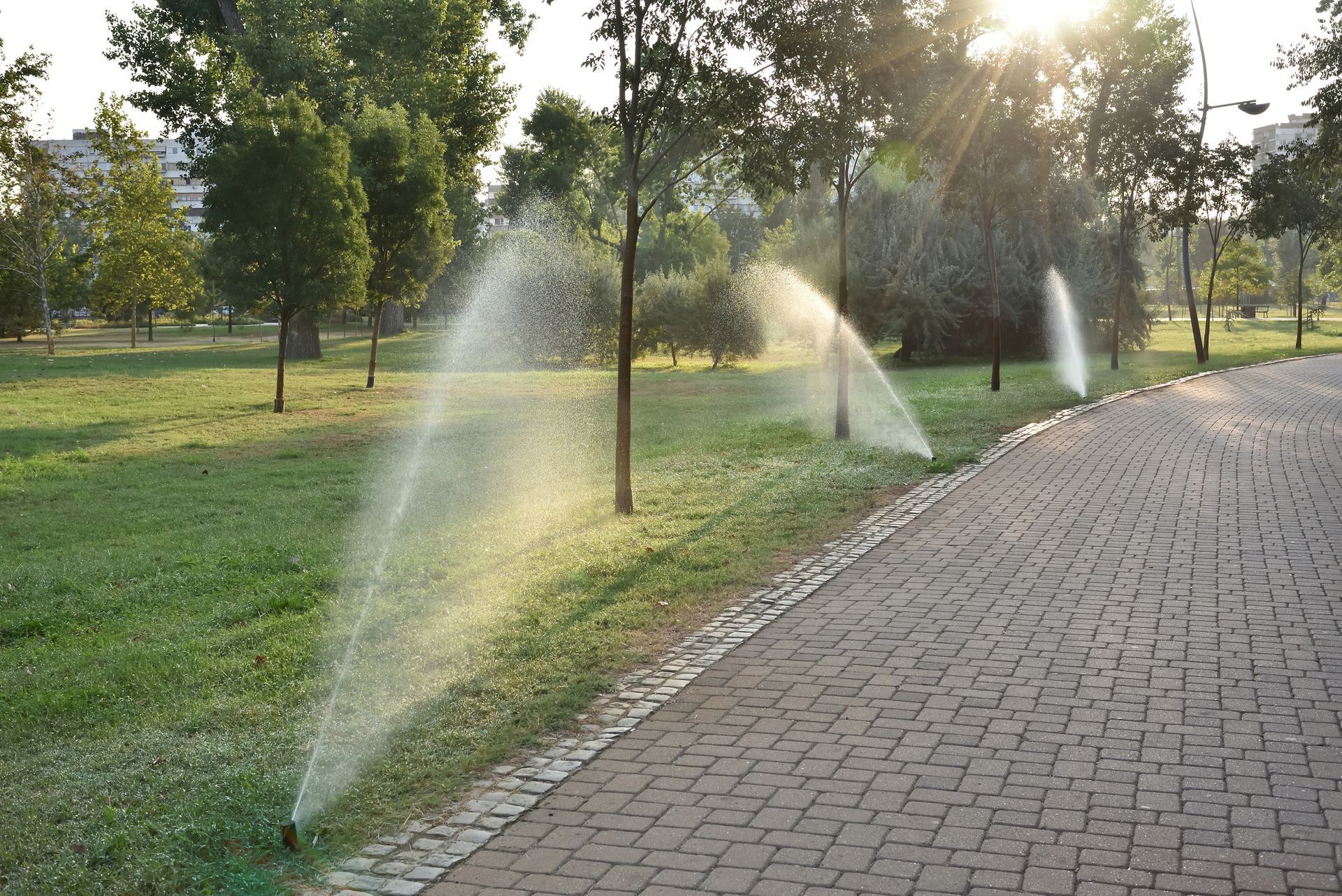 Automatic sprinkler system in action, refreshing the lawn on a summer morning Automatic sprinkler system in action, refreshing the lawn on a summer morning