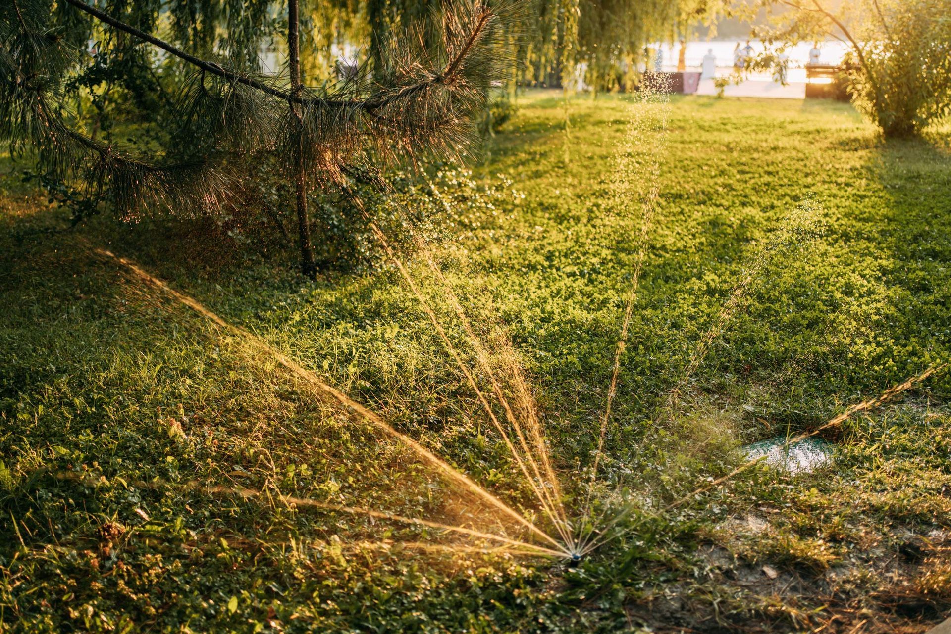 Closeup of sprinklers shutting water at a lawn at dusk Closeup of sprinklers shutting water at a lawn at dusk