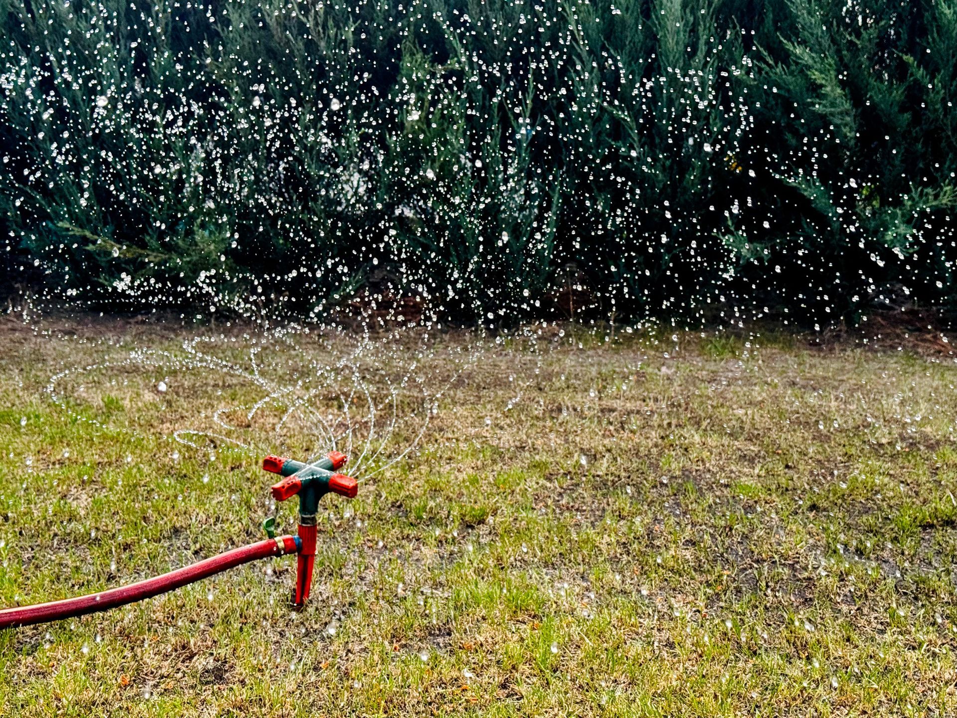 Sprinkler sprays water over grassy lawn in midday sunlight.