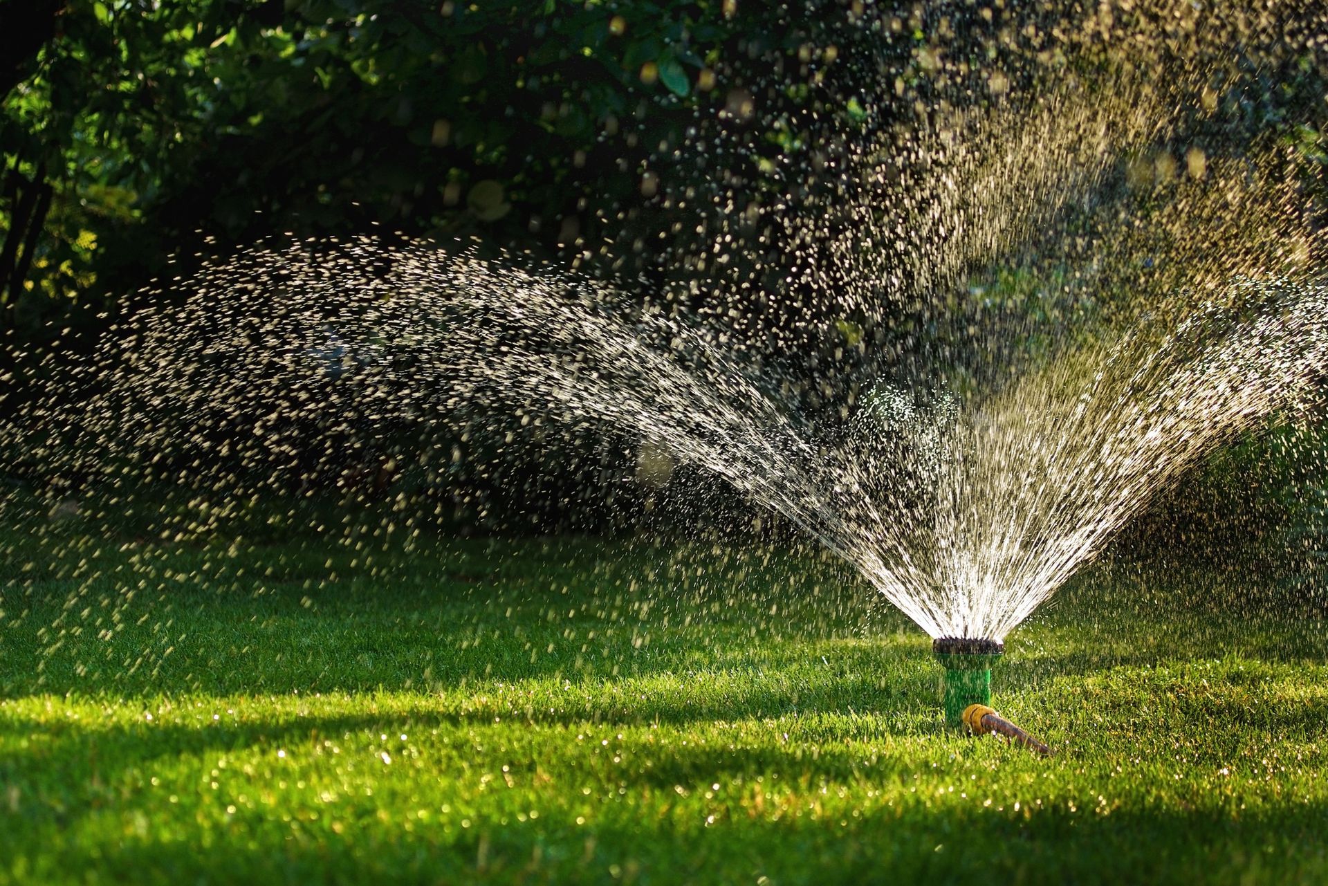 Irrigation sprinkler watering a lawn, showcasing a lawn sprinkler system in action efficiently.