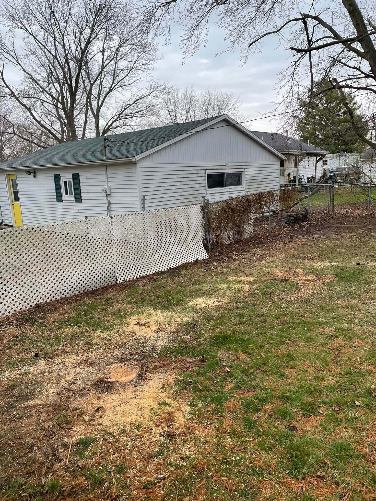 tree removal, tree pruning, brush trimming, stump grinding, best tree servce, foosland il, bebout tree service