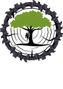 Best Tree Care Company Near Me, BeBout Tree Service, Foosland IL