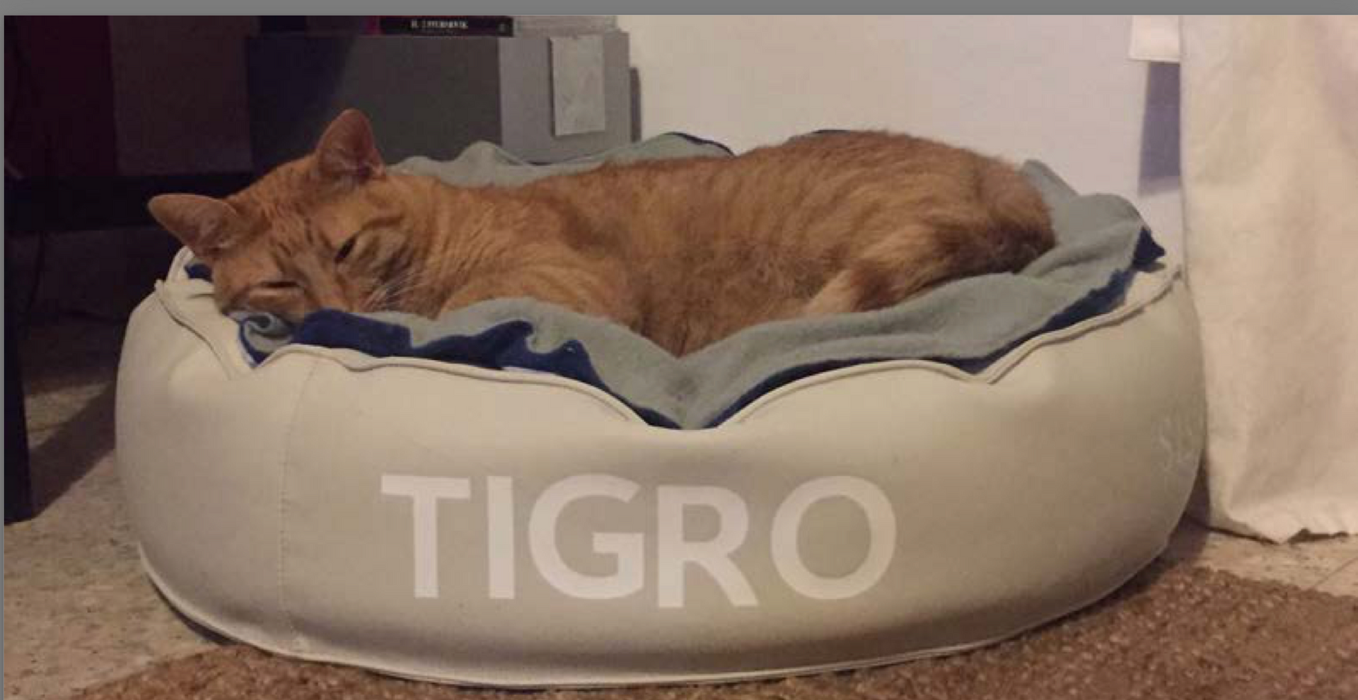 Pet cushions and dog poufs