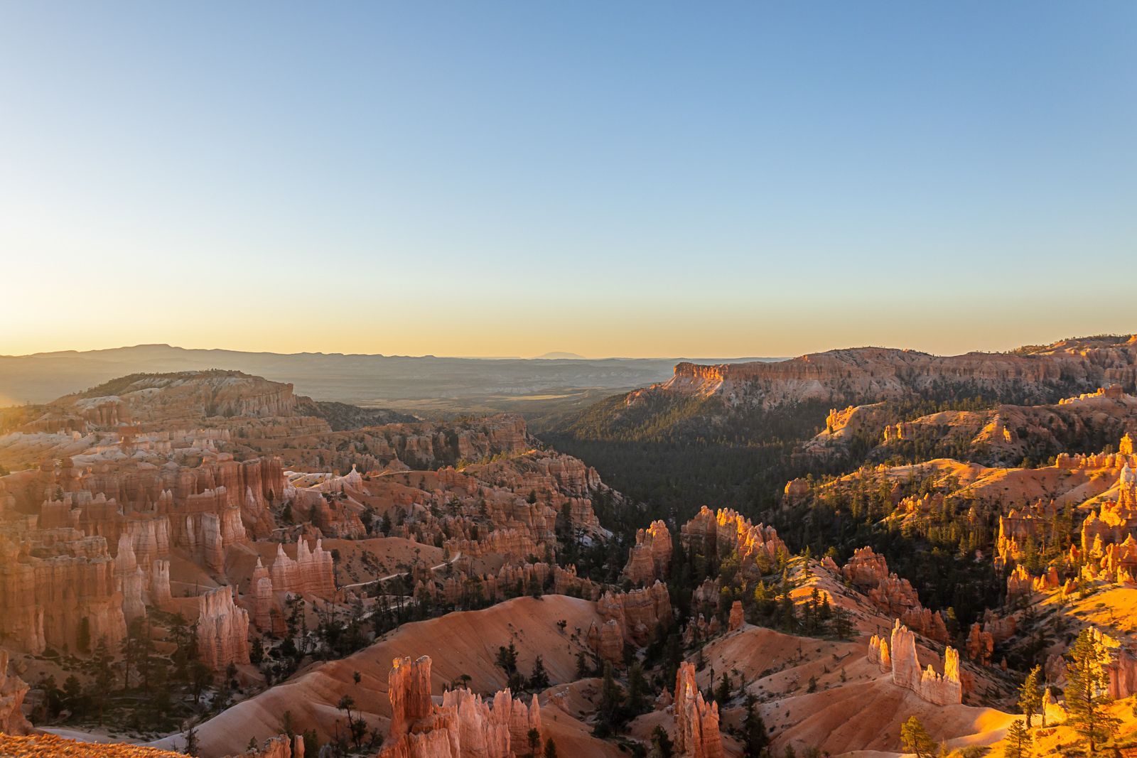 Sunlit canyon and forested cliffs at sunrise under a clear blue sky