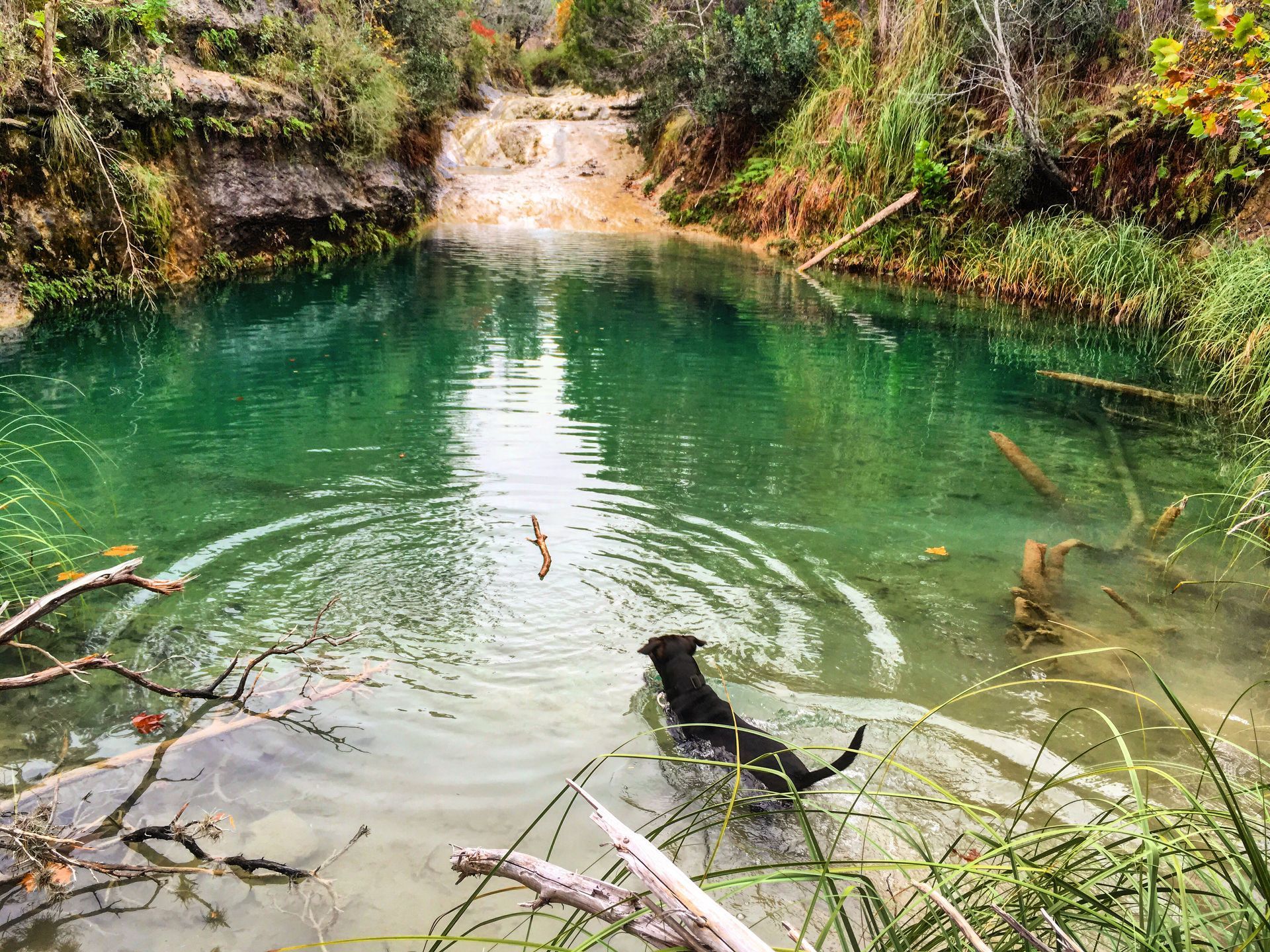 Person in yellow jacket holding pink snowboard on a snowy mountain top, with a snowy landscape in the background.