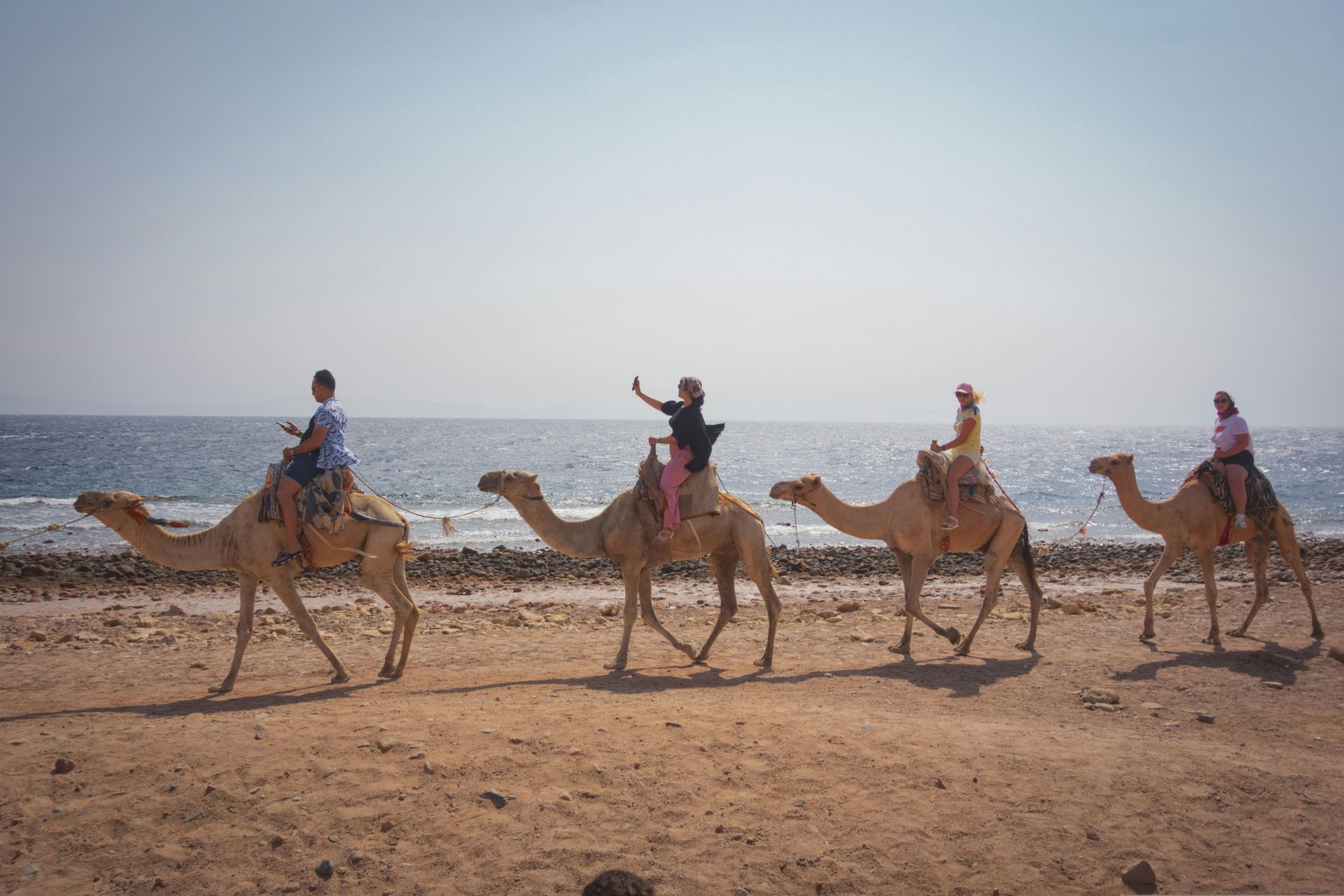 People riding camels along a beach; ocean in the background, sunny day.