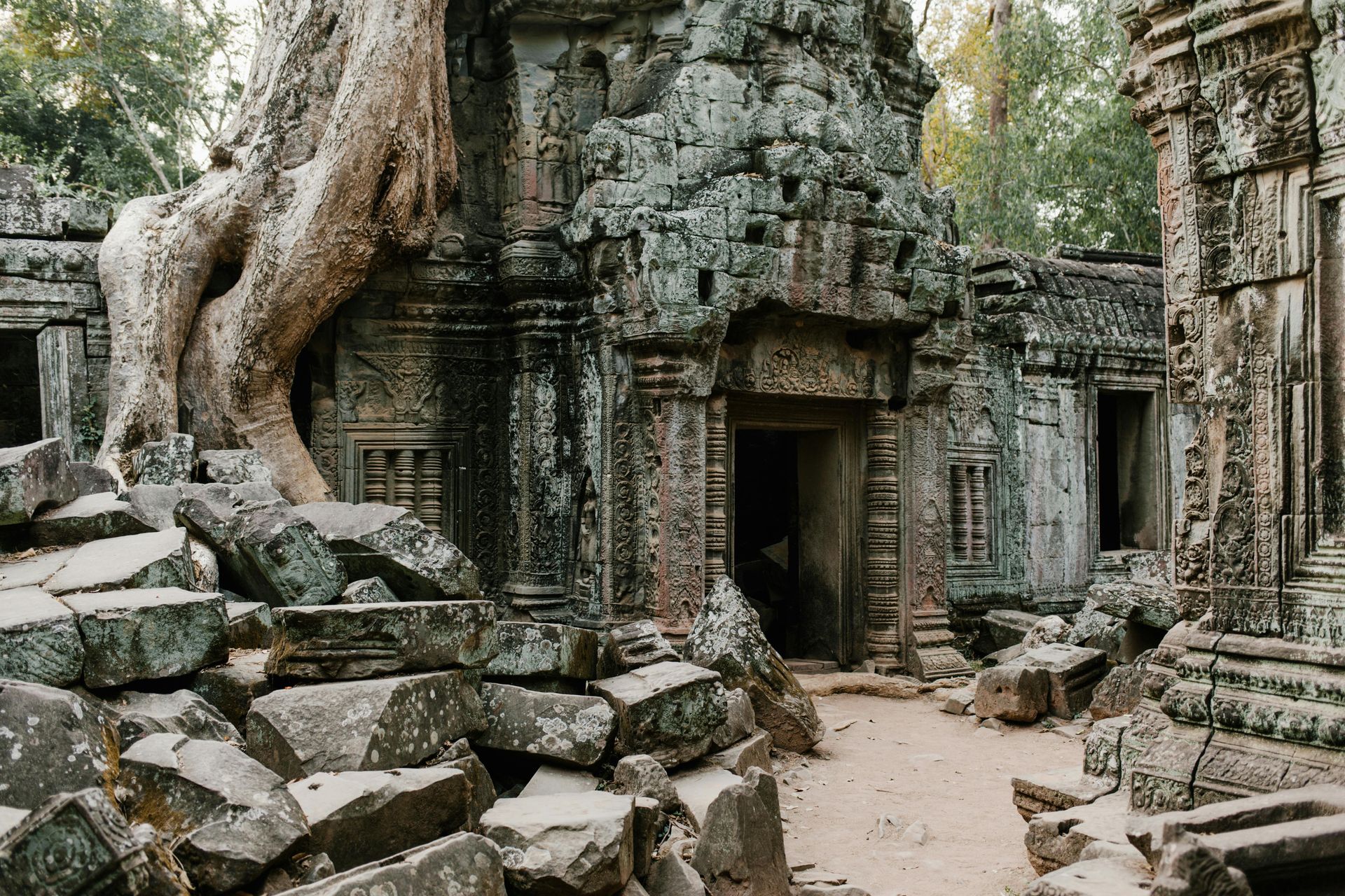 Ancient stone temple ruins overgrown by large tree roots in Cambodia.