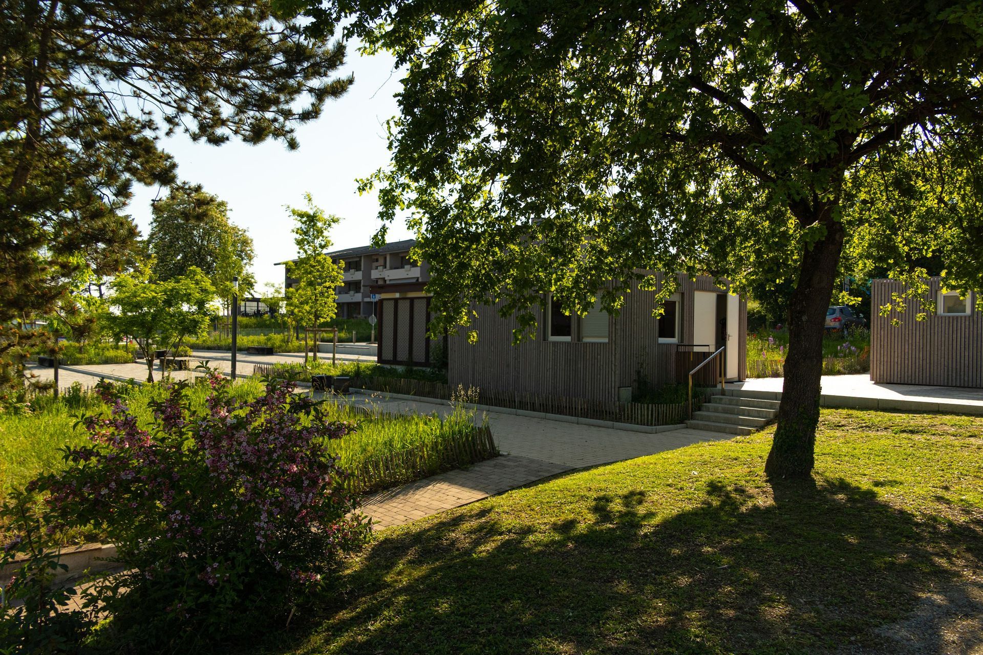 Un bâtiment en bois est entouré d'arbres dans un parc