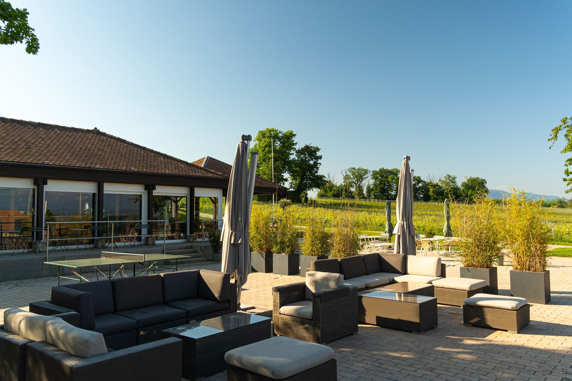 Un patio avec beaucoup de meubles et de parasols devant un immeuble.