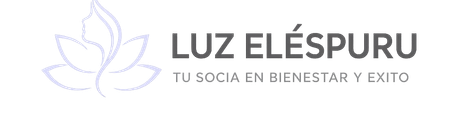 logo luz