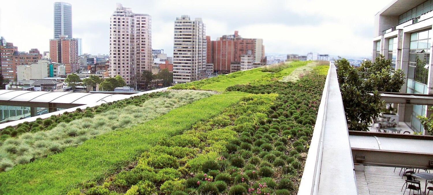 A green roof with a city skyline in the background.