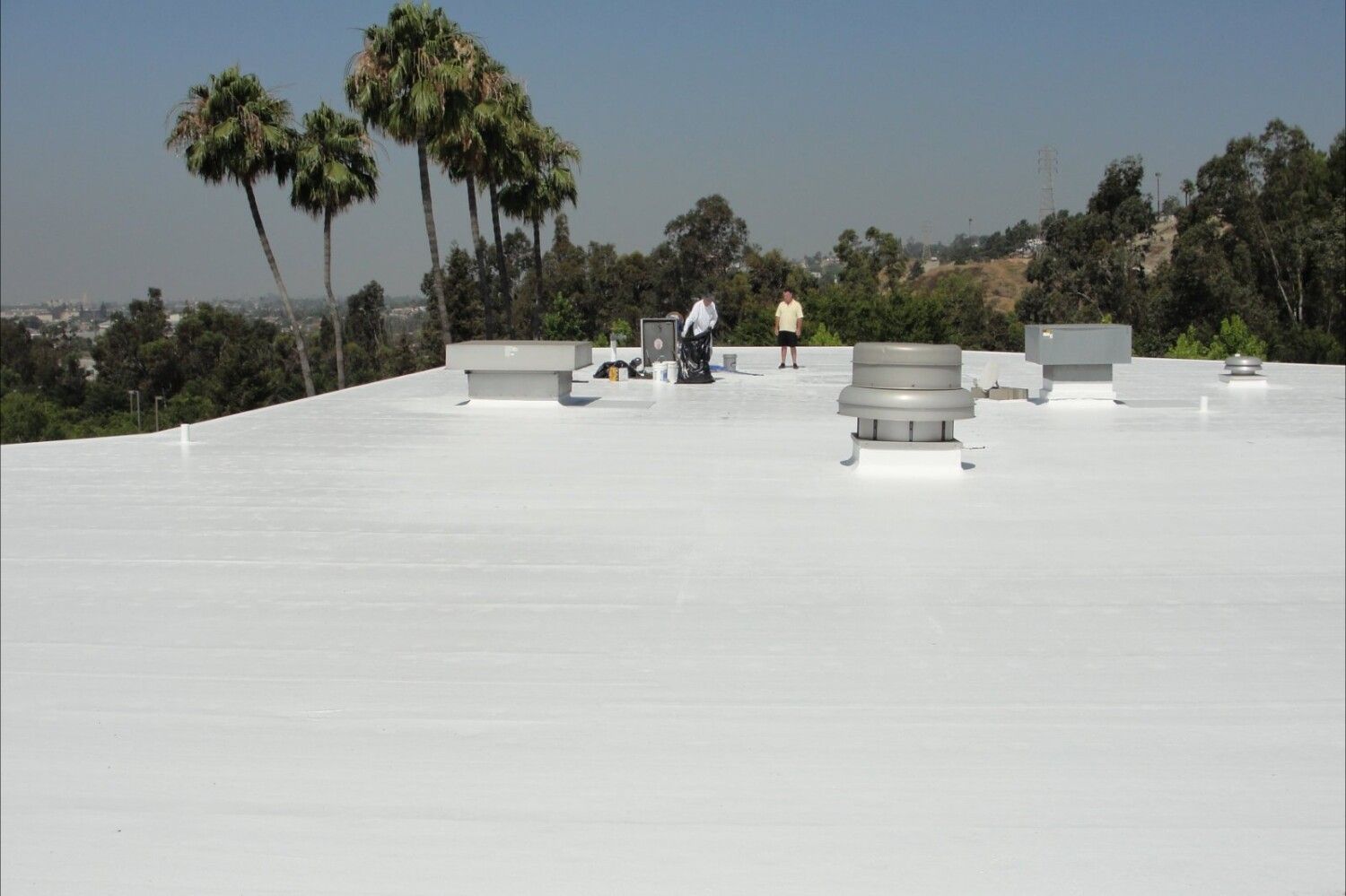 A white roof with palm trees in the background